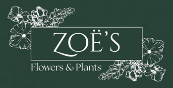 Kate's Flowers & Plants